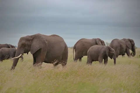 Zuid Afrika 21 — Zuid Afrika
